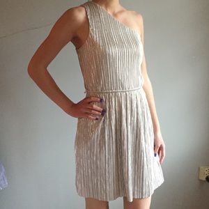 Express Silver Party Dress